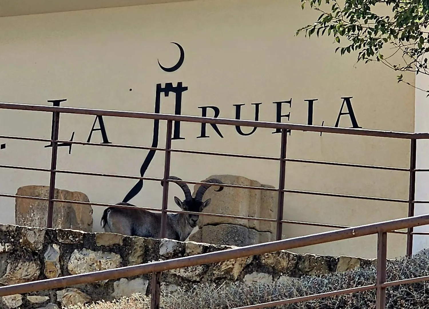 La Mocha Casa Rural La Casa De Maria La Iruela Spain